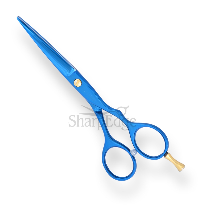 Professional Hair Dressing Scissors 